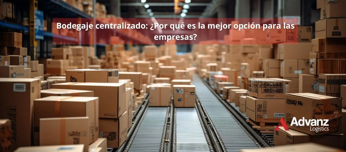 Bodegaje centralizado ¿Por qué es la mejor opción para las empresas